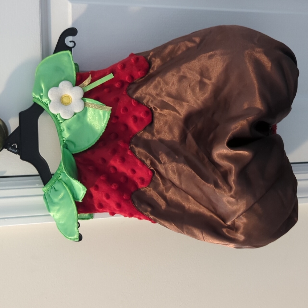 Chocolate covered strawberry infant Halloween costume for baby
